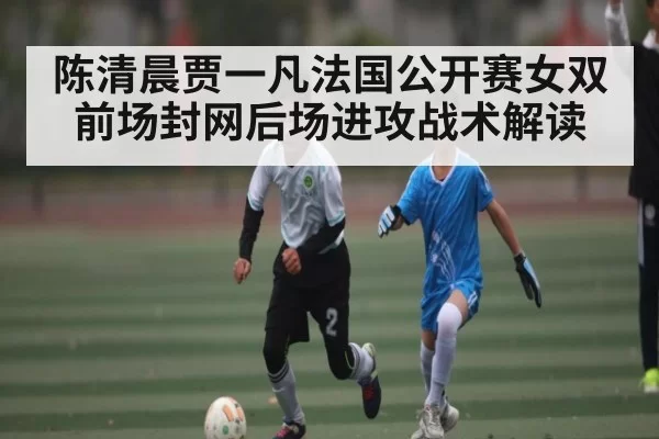 陈清晨贾一凡法国公开赛女双前场封网后场进攻战术解读